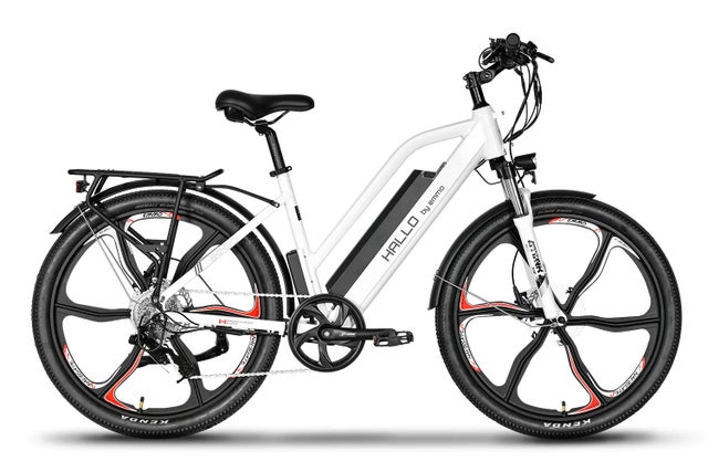 38kT DAMNGOOD!!ver. RASTA　 38explore Mountain Bike Style | eDrive Powersports